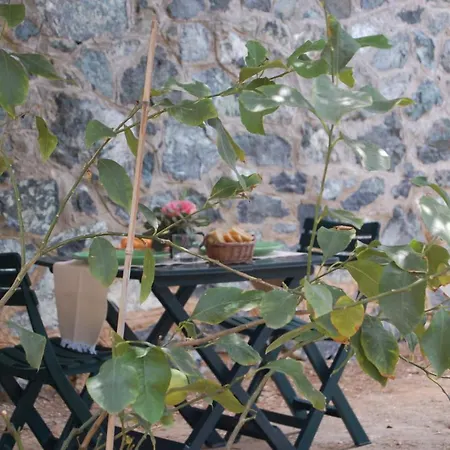 Joivy Perfectly Located Apt Next To Beach, In Monterosso Monterosso al Mare