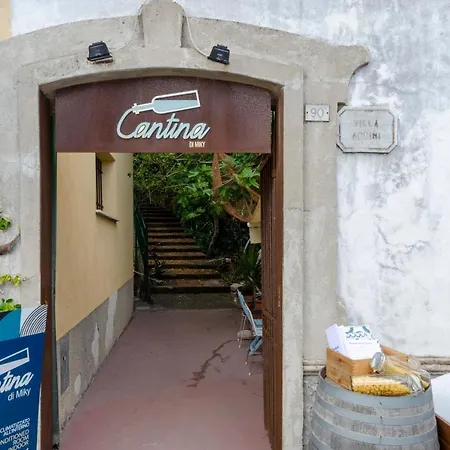 Joivy Perfectly Located Apt Next To Beach, In Monterosso Apartment