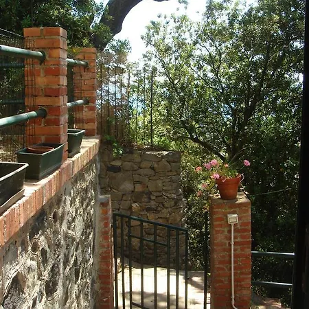 Joivy Perfectly Located Apt Next To Beach, In Monterosso *